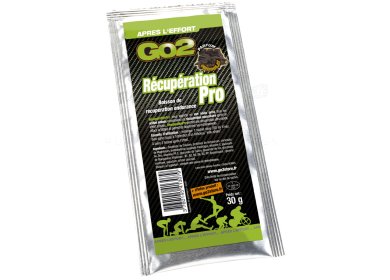 Go2 R�cup�ration Pro - Chocolat - 30g