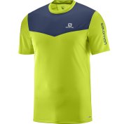 Salomon Fast Wing M
