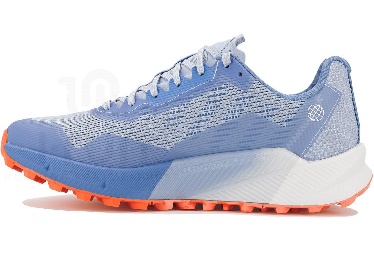 adidas Terrex Agravic Flow 2 Gore-Tex