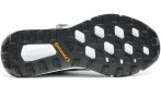 adidas Terrex Two BOA