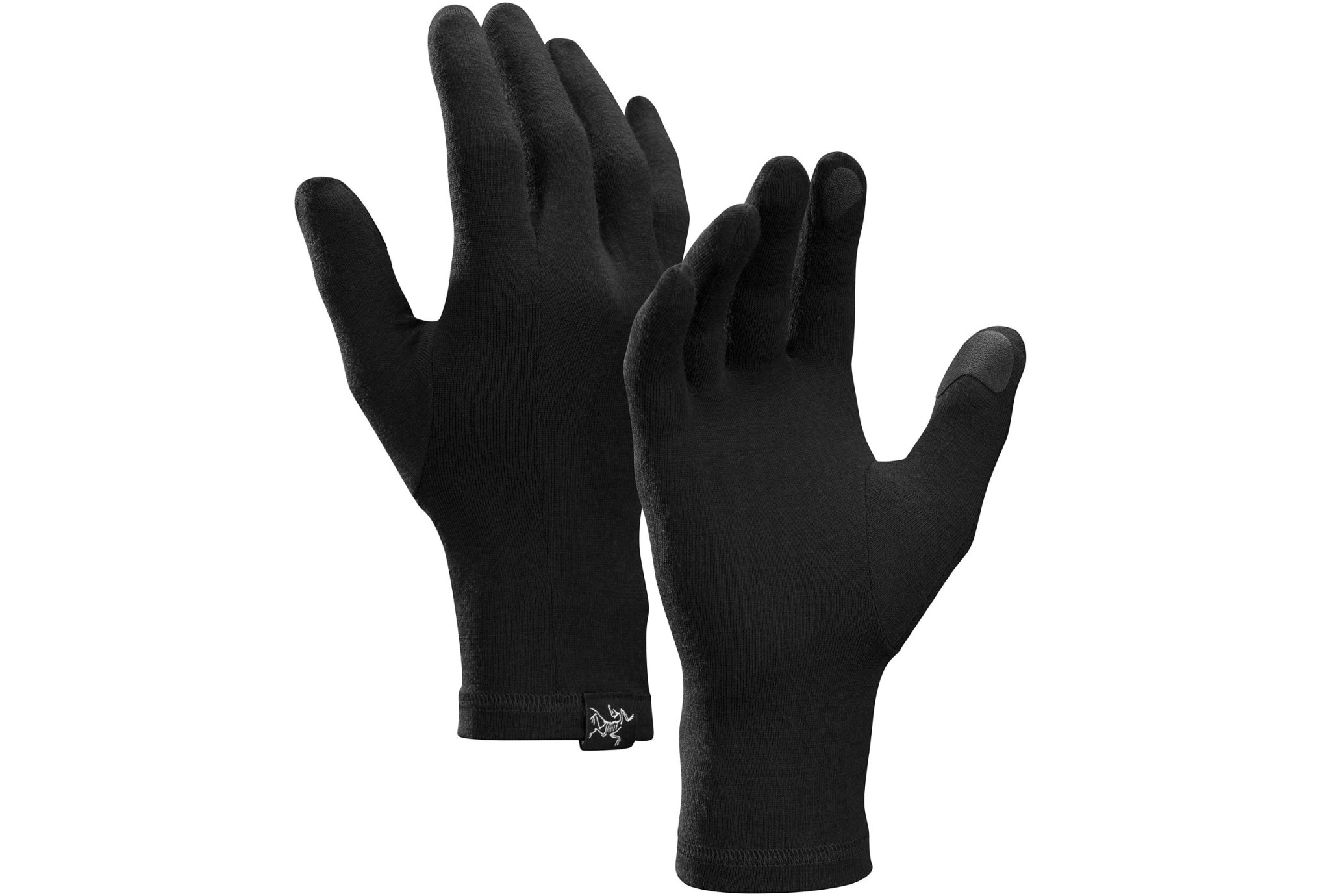 Arcteryx Gothic Bonnets / Gants