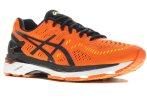 Asics Gel Kayano 23