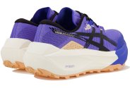 Asics Trabuco Max 5