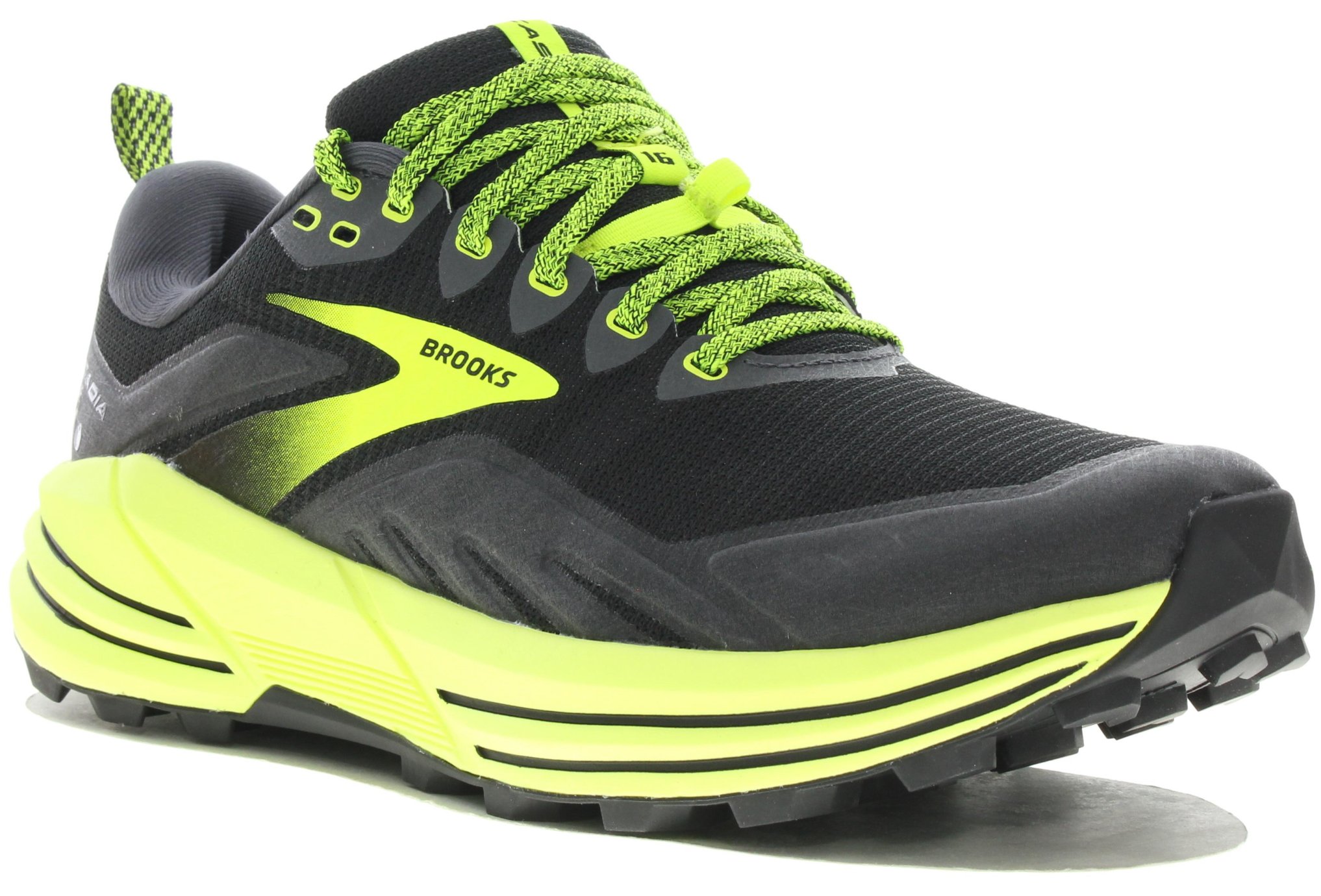 Cascadia 16