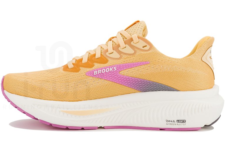Brooks Ghost 17