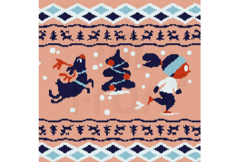 BV Sport Trail Ultra Collector DBDB Xmas