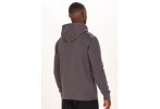 Champion Hooded Herren