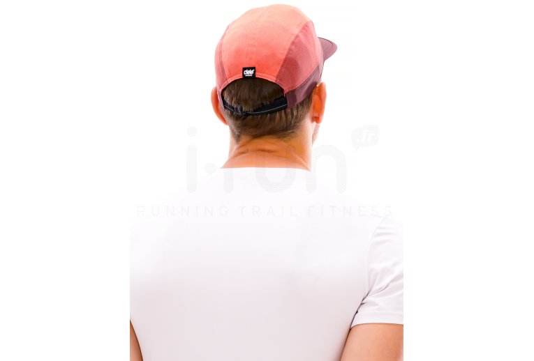 Ciele ALZCap - Horizon