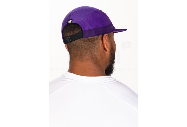 Ciele ALZCap Standard Corp Small