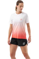 Compressport Performance