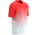 Compressport Performance