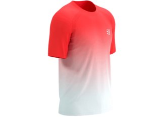 Compressport Performance