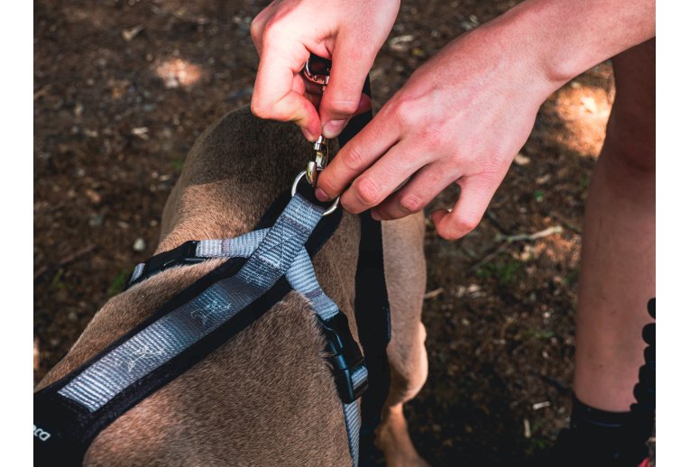 Djoring Arns Djore Pro