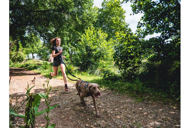 Djoring Laisse Djore Bike