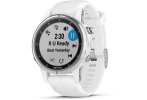 Garmin Fenix 5S Plus Silver Sapphire