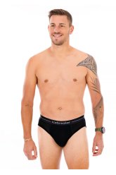 Icebreaker Anatomica Brief Mérinos