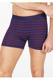 Icebreaker Anatomica M