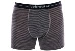 Icebreaker Anatomica Herren
