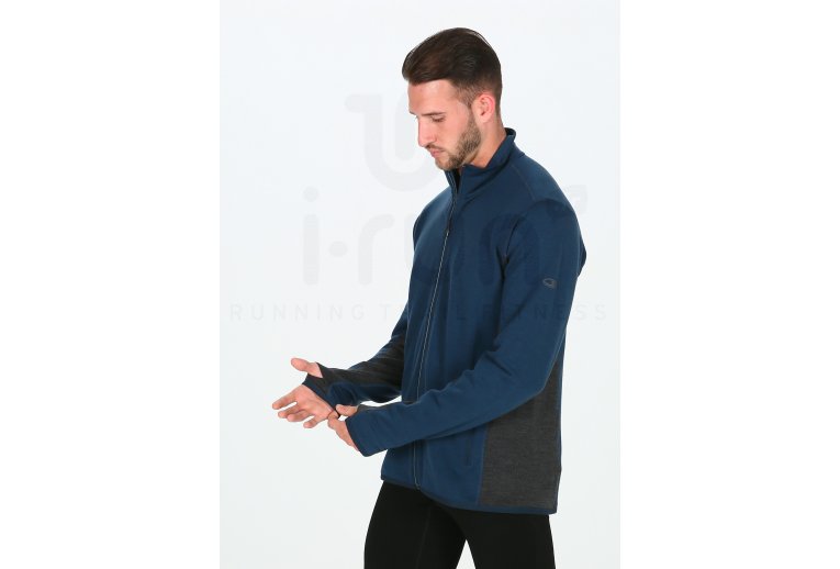 Icebreaker camiseta manga larga Delta