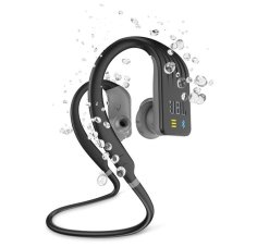 JBL Harman Endurance Dive