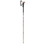 Leki Micro Stick Carbon