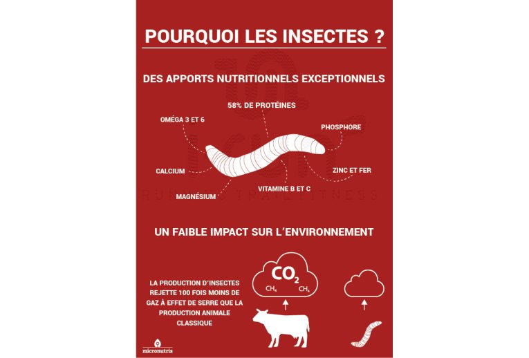 Micronutris - My Impact My Impact -Barre aux insectes / Graines de Courge