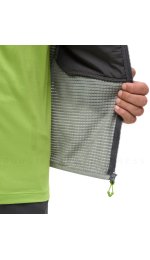 Millet Parmelan Hybrid