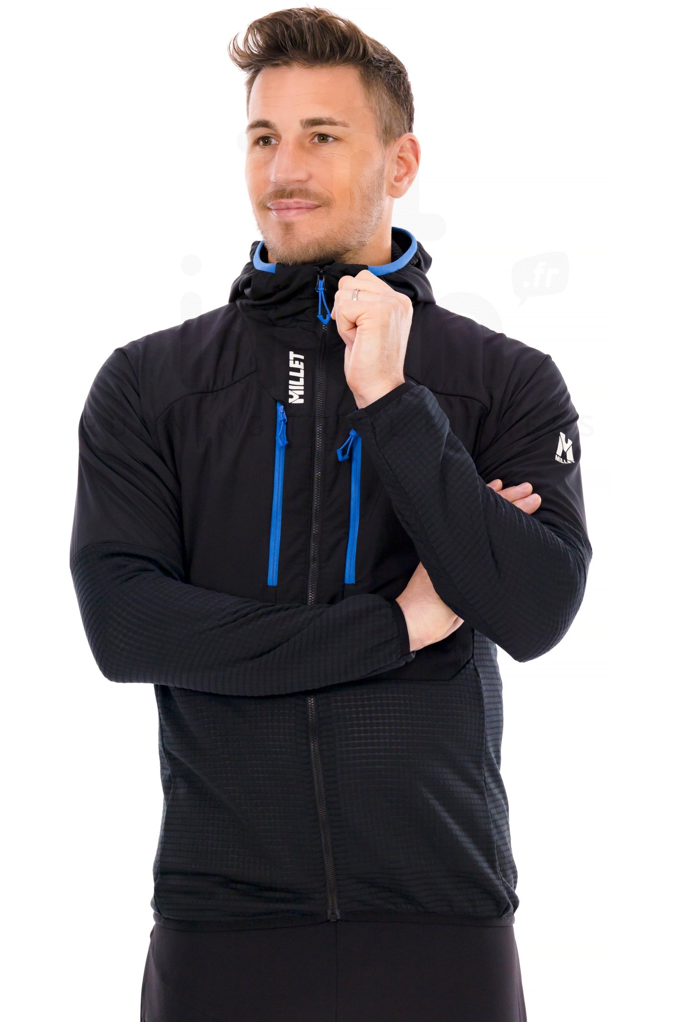 Millet Parmelan Hybrid