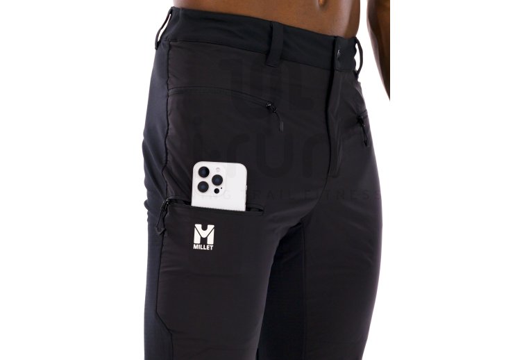 Millet Seneca Hydrid