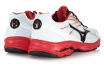 Mizuno Wave Advance 2