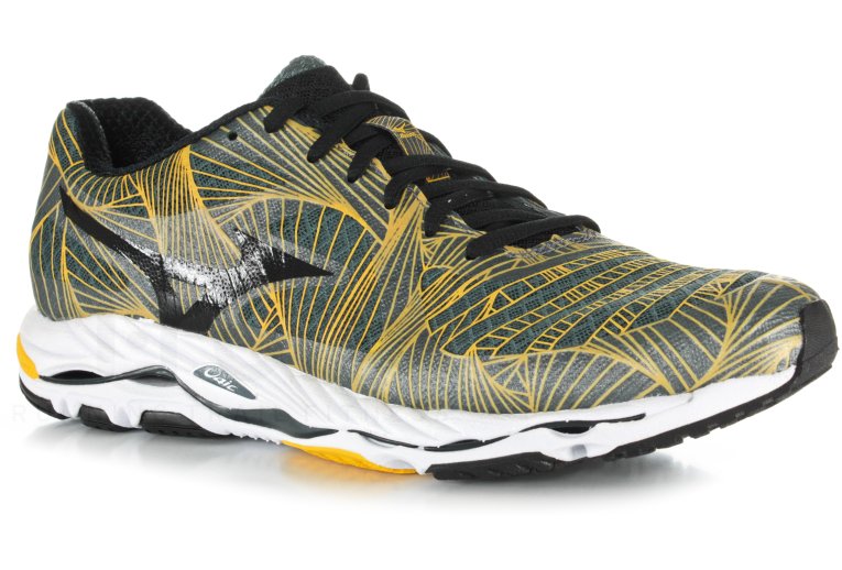 Mizuno Wave Paradox