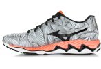 Mizuno Wave Paradox