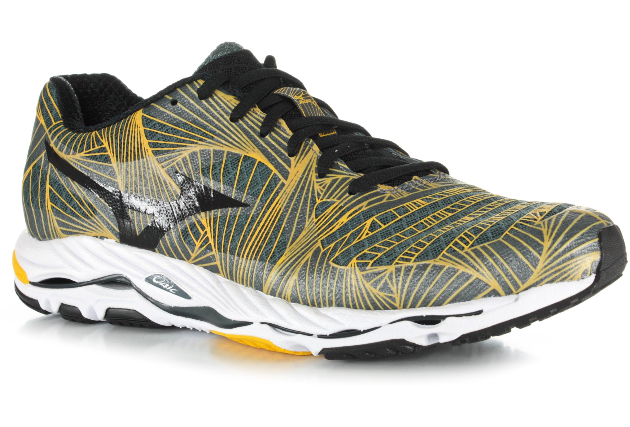 mizuno wave paradox