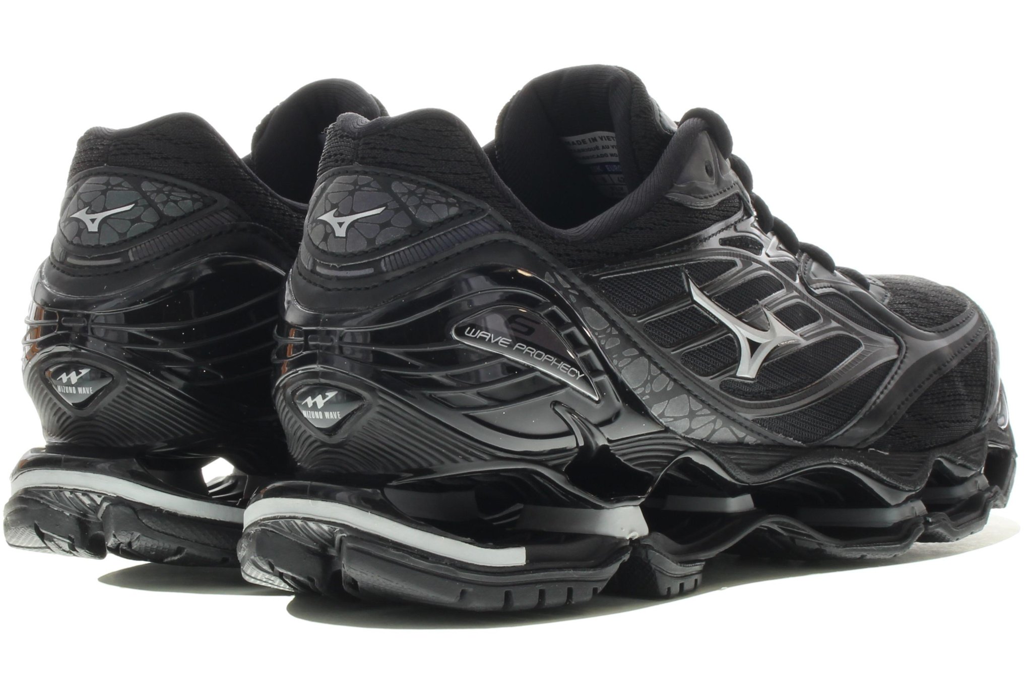 mizuno 6 wave prophecy
