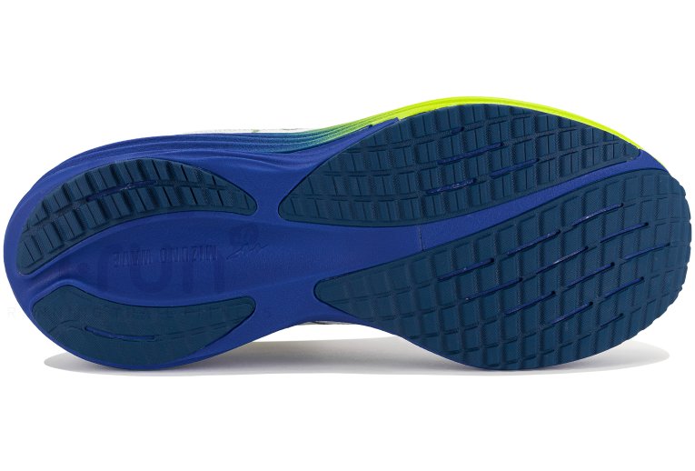 Mizuno Wave Rider 29