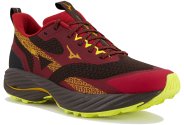 Mizuno Wave Rider TT 2