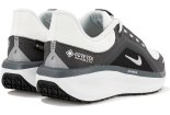 Nike Air Winflo 11 Gore-Tex