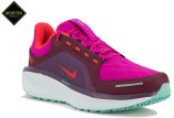 Nike Air Winflo 11 Gore-Tex SE