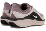 Nike Air Winflo 11 Gore-Tex
