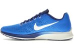 Nike Air Zoom Elite 10