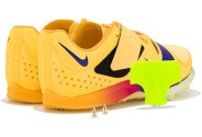 Nike Air Zoom LJ Elite