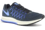 Nike Air Zoom Pegasus 32