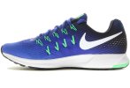Nike Air Zoom Pegasus 33