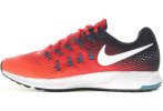 Nike Air Zoom Pegasus 33