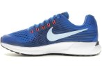 Nike Air Zoom Pegasus 34