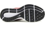 Nike Air Zoom Pegasus 34