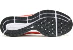 Nike Air Zoom Pegasus 34