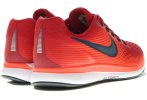 Nike Air Zoom Pegasus 34