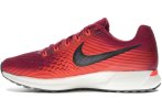 Nike Air Zoom Pegasus 34