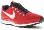Nike Air Zoom Pegasus 34 TB